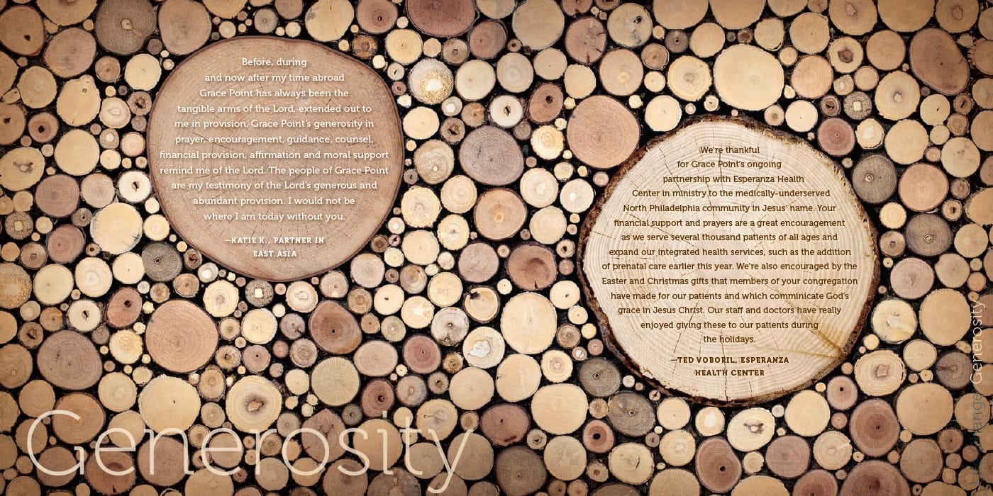 Annual Report lowres-9 copy